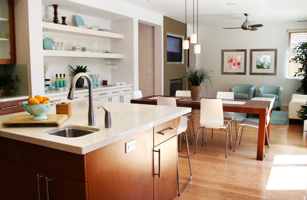 Modern Kitchen and living room